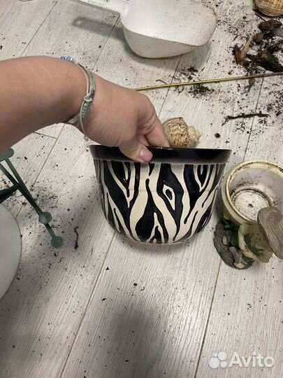 Отдам горшки