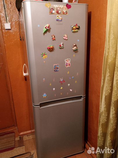 Холодильник Indesit BIA 16 S