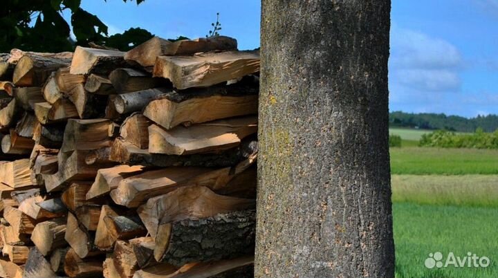 Дрова чистые