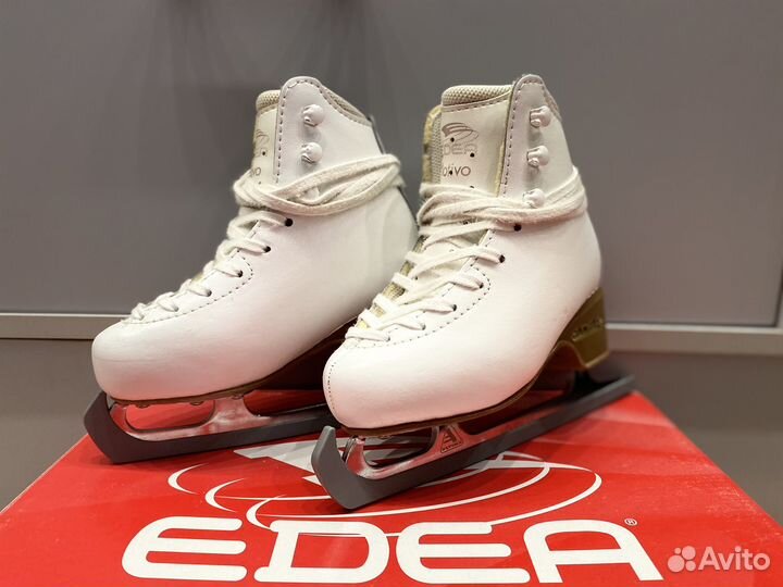 Коньки Edea motivo