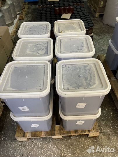 Натуральный гречишный мед оптом