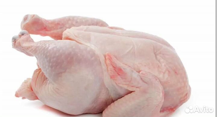 Мясо бройлера