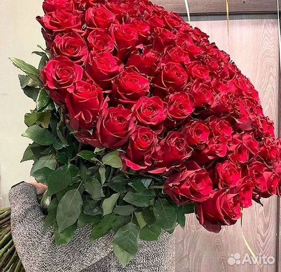 Высокие розы Гигантские розы 110