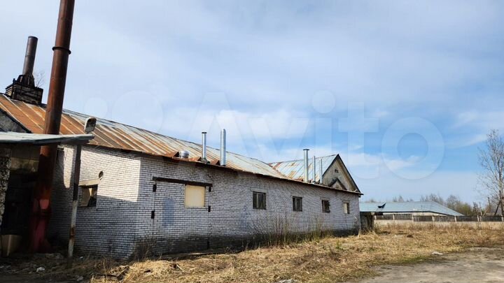 Производство, 100 м²