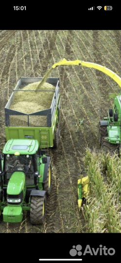 Силос кукурузный