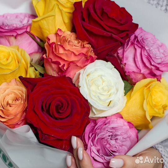 Роза микс экватор