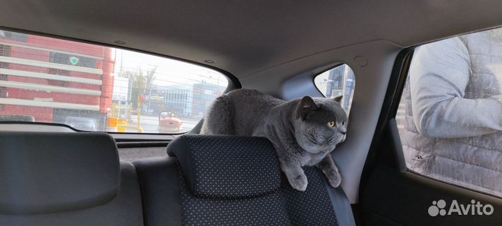 Приглашаем на вязку