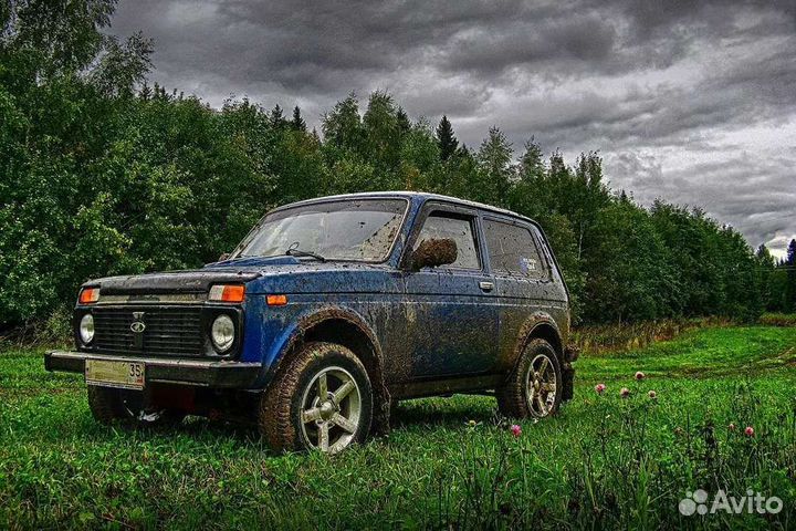 Нива по запчастям