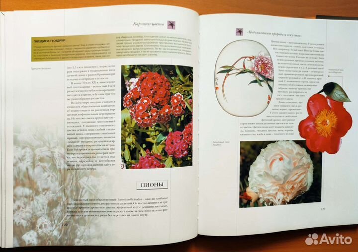 Книги по цветам и цветоводству