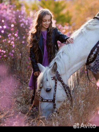 Прогулка на лошадях