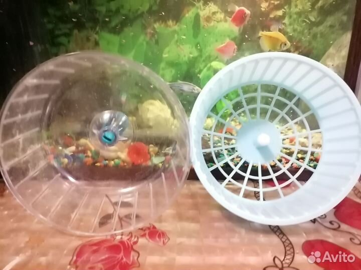 Беговое колесо