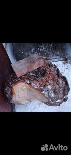 Кап сувель берёзовый