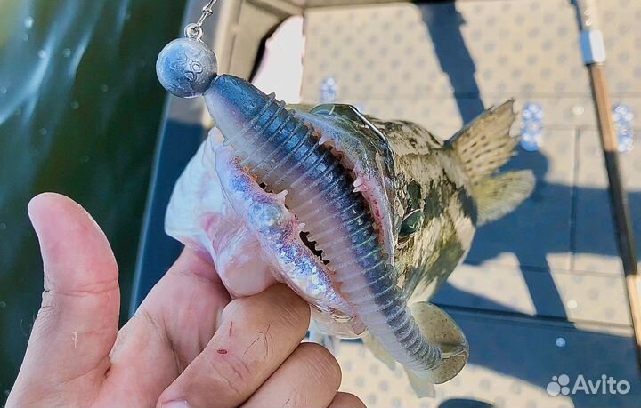 Рыбалка Волгоград (гид, егерь)