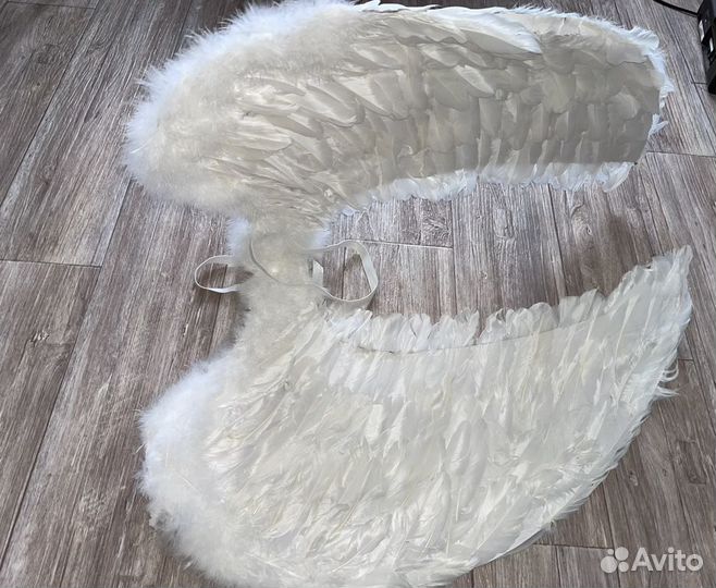 Аренда крыльев