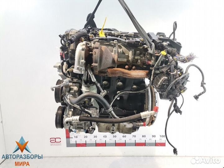 Форсунка Opel Insignia (A) 2009 55566050