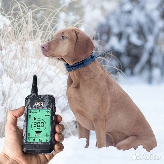 Dog GPS X20 Система отслеживания для гончих собак