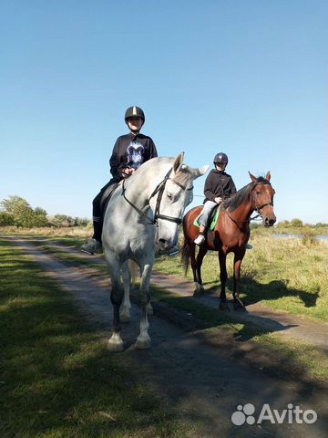 Конные прогулки, верховая езда,фотосессии