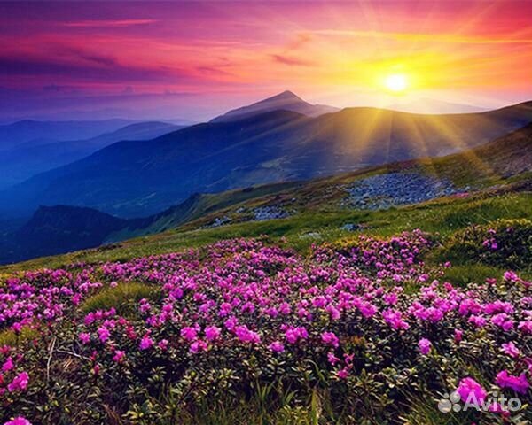 Алмазная мозаика 40x50 Цветочная поляна на склоне