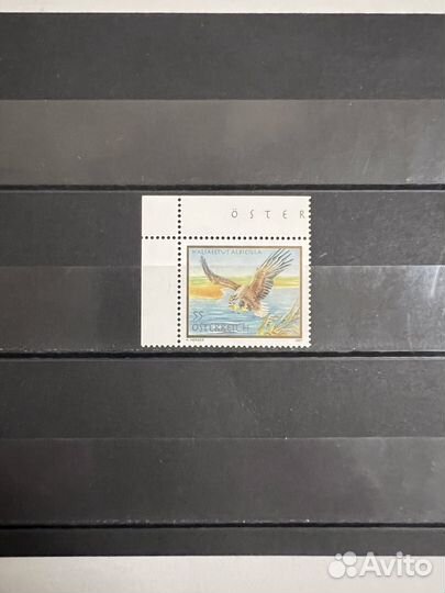 2007 г. Австрия. Фауна