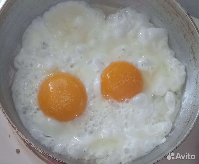 Домашние куриные яйца