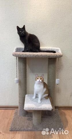 Комплекс когтеточек с лежанкой для кошки/кота