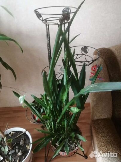 Подставка для цветов напольная металлическая