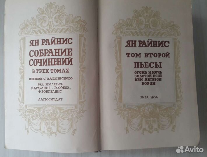 Ян Райнис