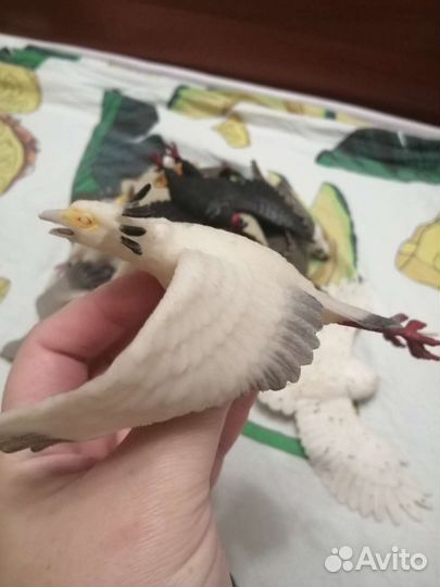 Игрушки резиновые