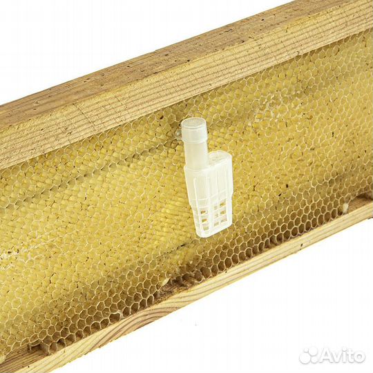 1000 шт. Колпачок на клеточку для подсадки матки