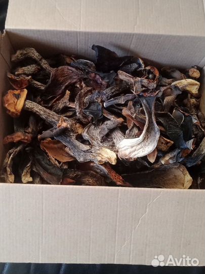 Грибы белые сушеные, красноголовики