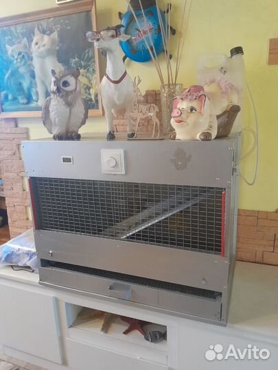 Брудер для цыплят бу