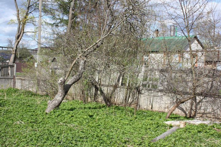 Участок 8,4 сот. (ИЖС)