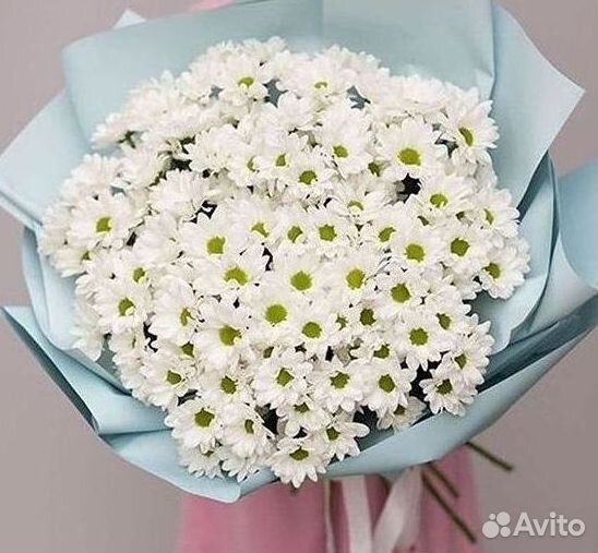 Хризантема Букеты с доставкой