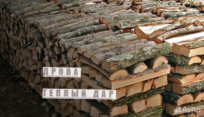 Дрова сухие