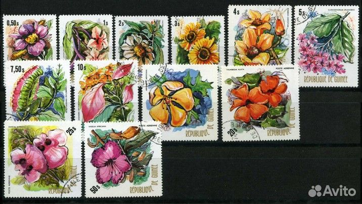 Растения, флора