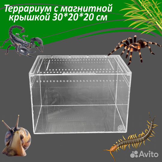 Террариум с магнитной крышкой