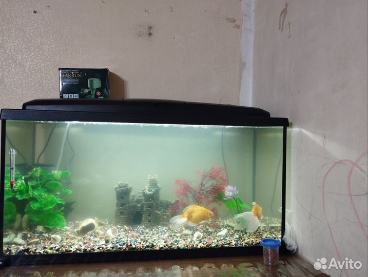 Украшение для аквариума