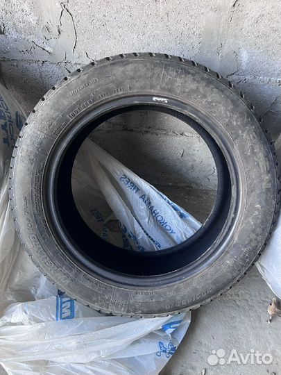 Nexen Winguard Ice Plus 205/55 R16