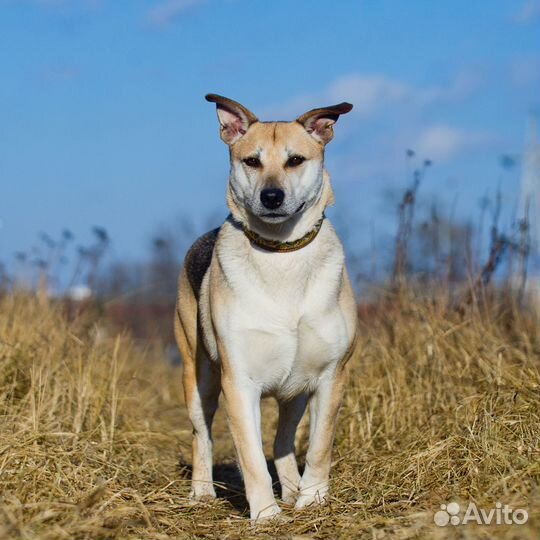 Тихая, робкая Марта заслужила счастье