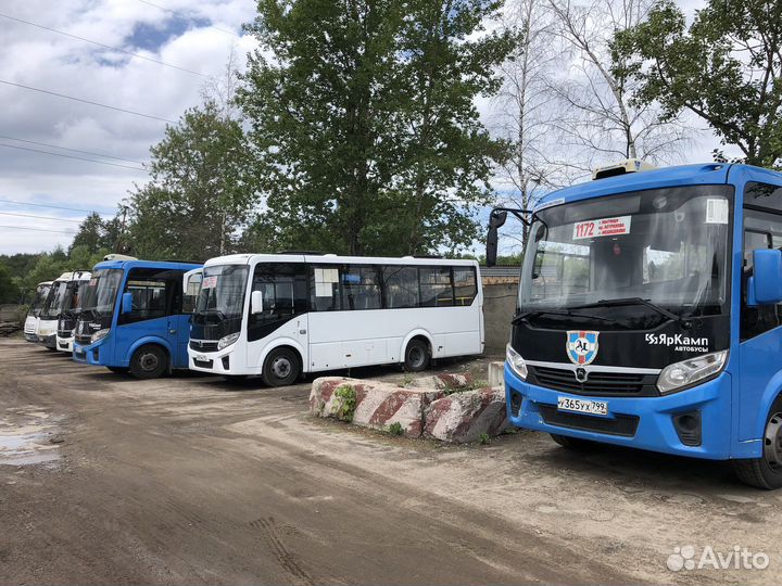 Пассажирские перевозки