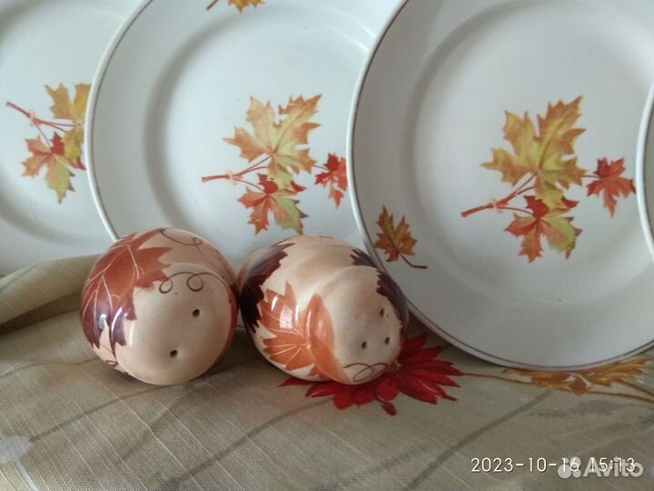 Блюдо,спецовники