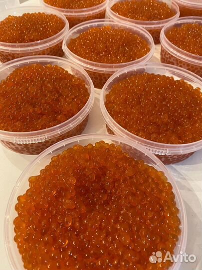 Красная икра кеты