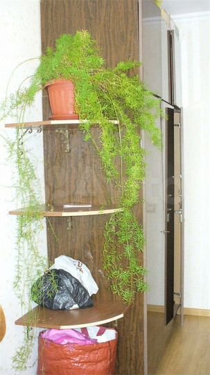 Комната 11 м² в 2-к., 11/12 эт.