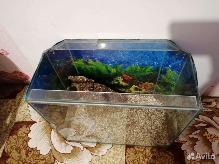 Аквариум панорамный