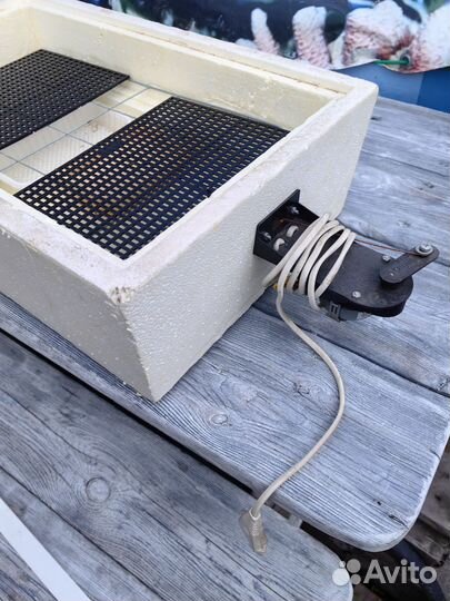 Инкубатор для яиц бу 