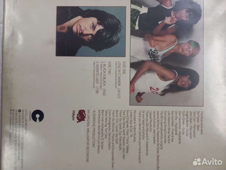 Виниловые пластинки