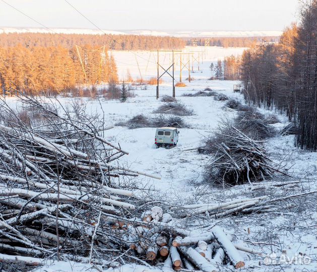 Лесовосстановление, расчистка просек, площадок, вы
