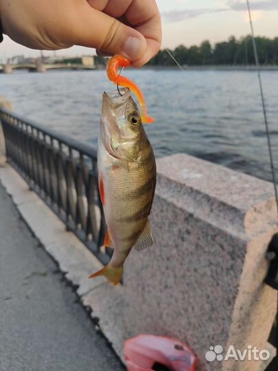 Спиннинг crazy fish versus 862 lt