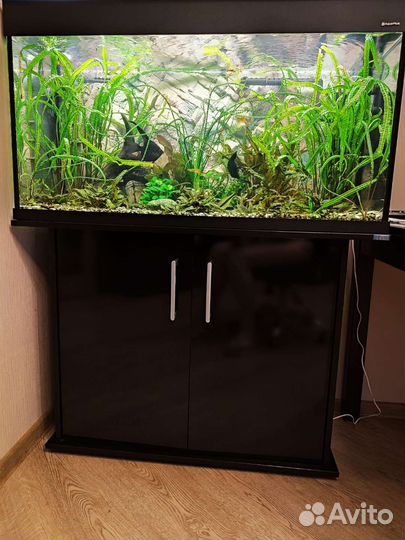 Аквариум