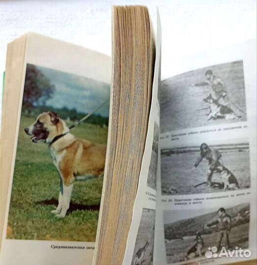 Книги детям и взрослым о воспитании собак